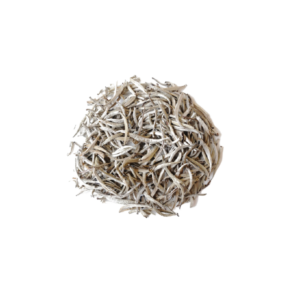 WHITE TEA