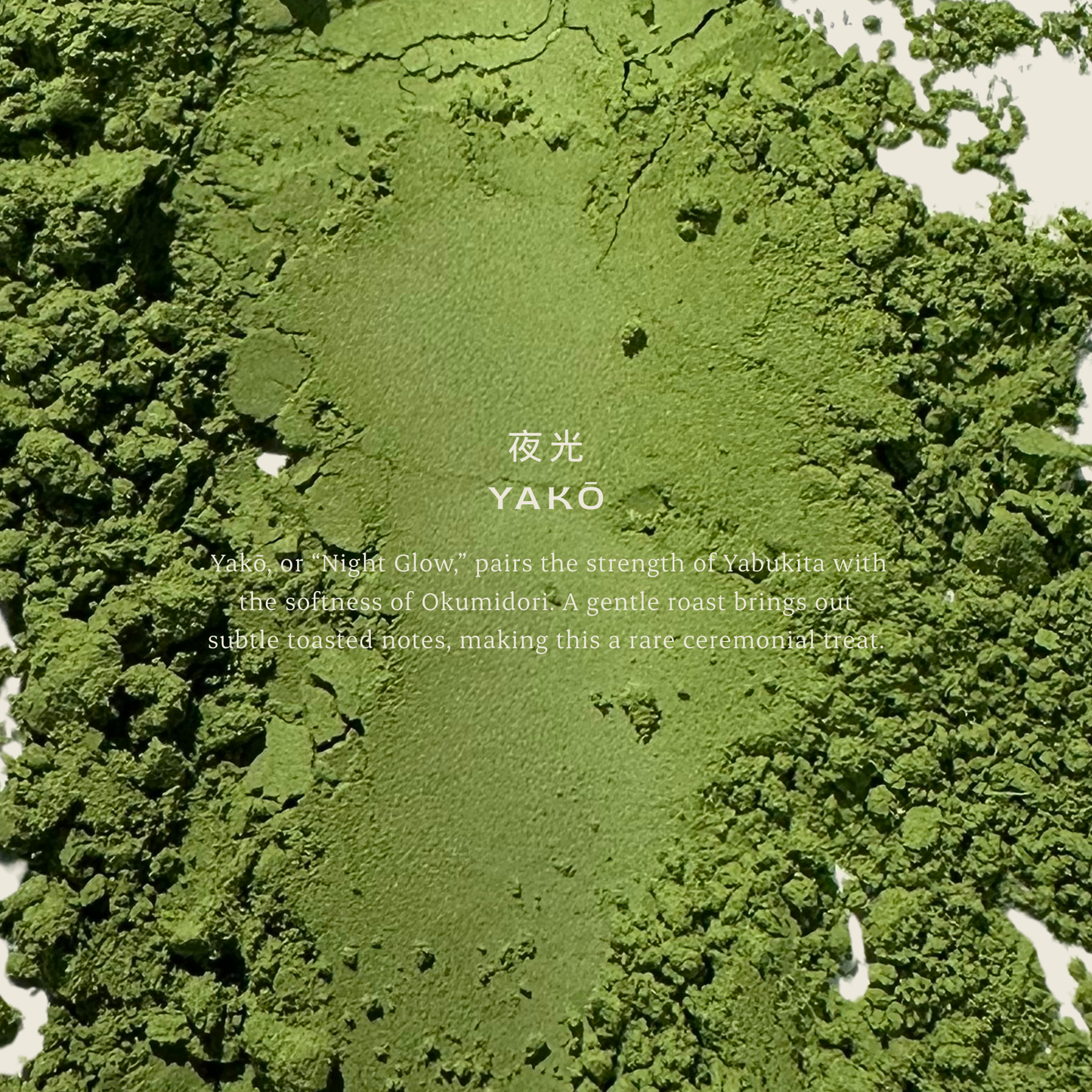 
                  
                    YAKŌ 夜光 | Ceremonial Matcha
                  
                