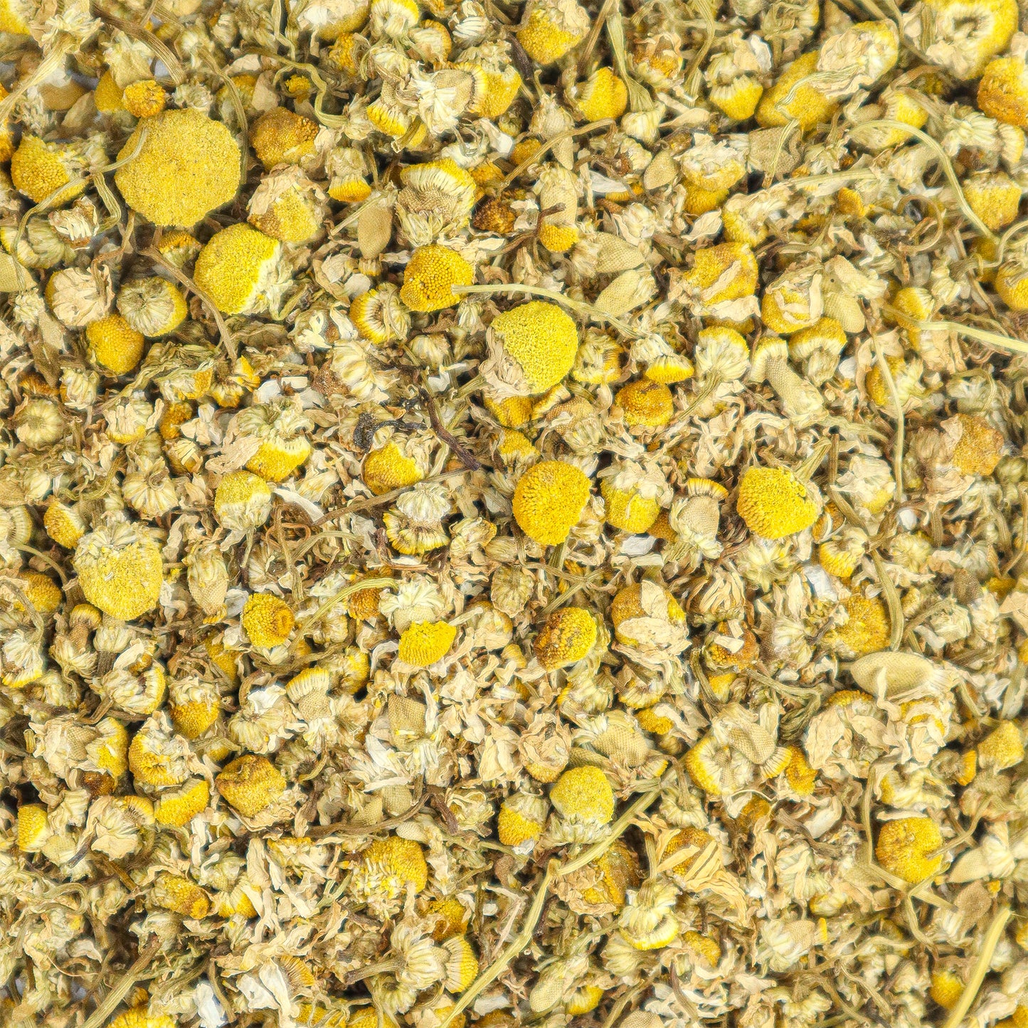 
                  
                    Chamomile
                  
                